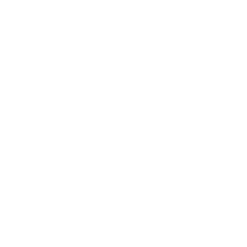 Secure Health Data Vault